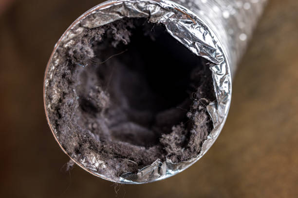 Best Affordable HVAC Duct Cleaning  in Bryn Mawr, PA