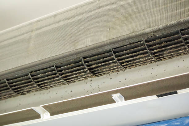 Best Home Air Vent Cleaning  in Bryn Mawr, PA